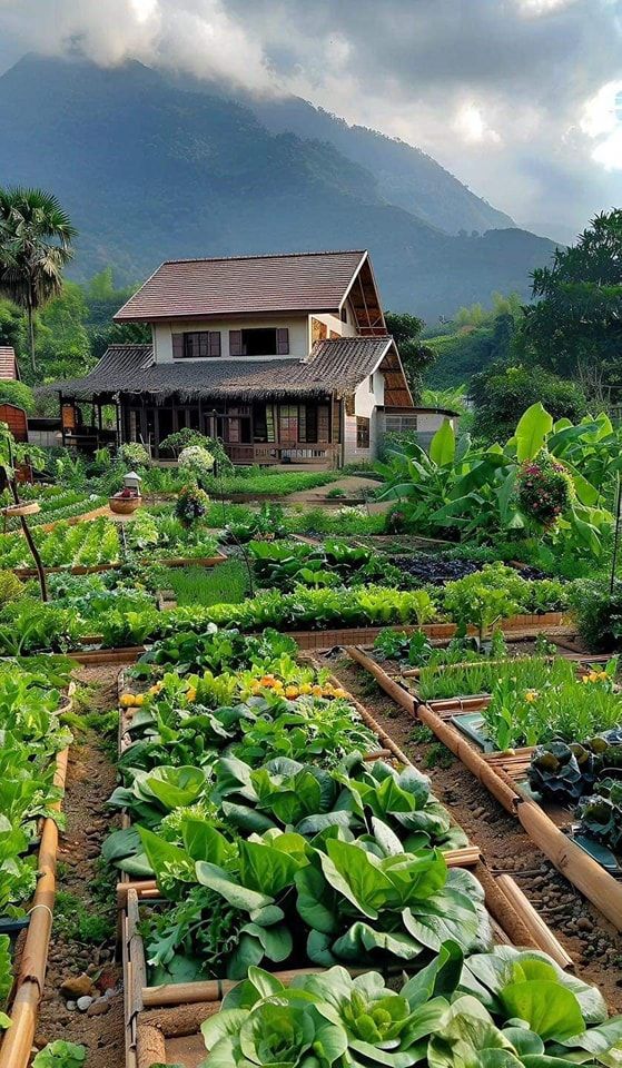 🌿 راهنمای کامل خرید زمین کشاورزی در طالقان