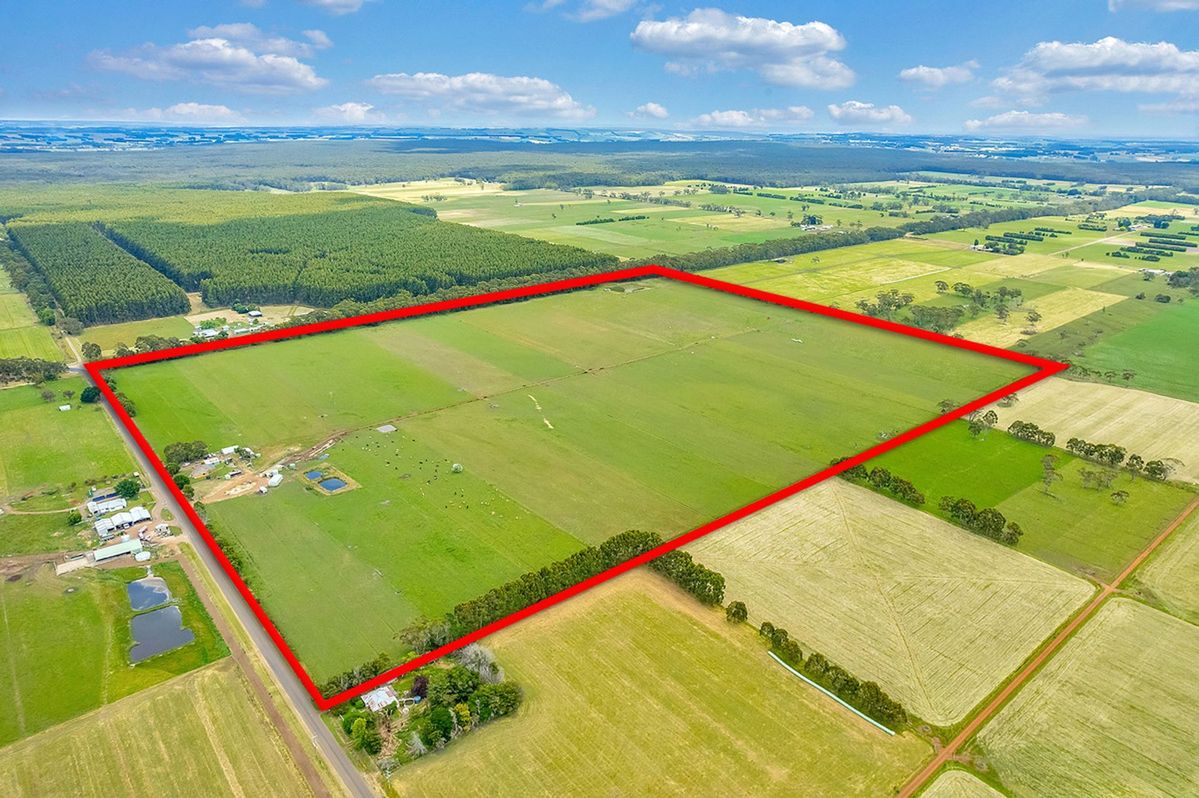 خرید زمین در اطراف تهران؛ راهنمای کامل سرمایه‌گذاری مطمئن و آینده‌دار