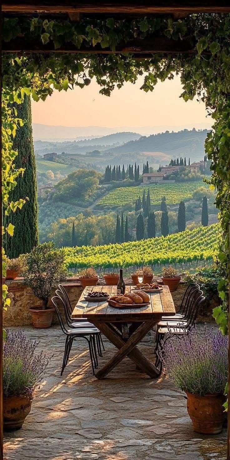 خرید باغ لاهیجان با چک بدون بهره