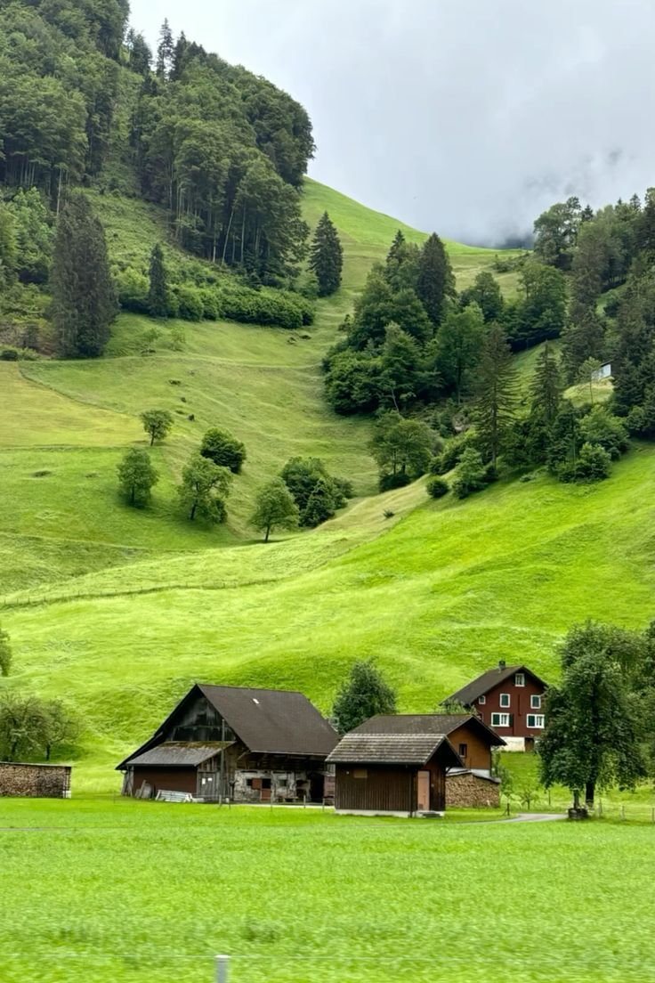 خرید زمین سوادکوه با شرایط اقساطی