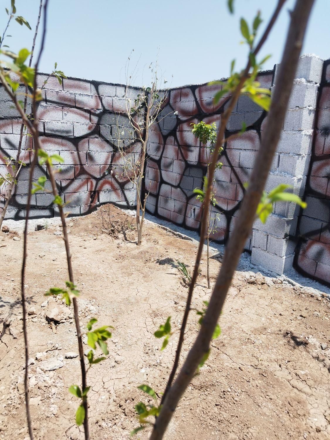 24b51485-7177-43d1-98be-01d15e0de291