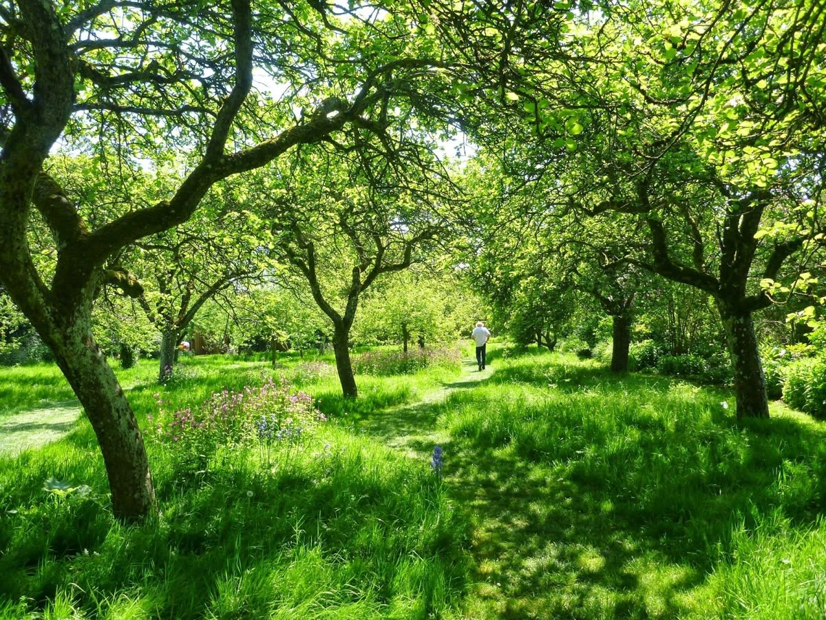 خرید باغ لاکچری با شرایط اقساطی
