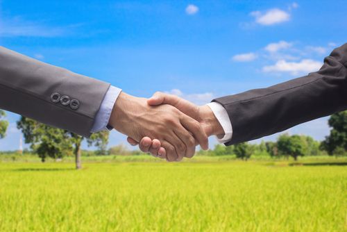 خرید زمین در اطراف تهران؛ راهنمای کامل سرمایه‌گذاری مطمئن و آینده‌دار