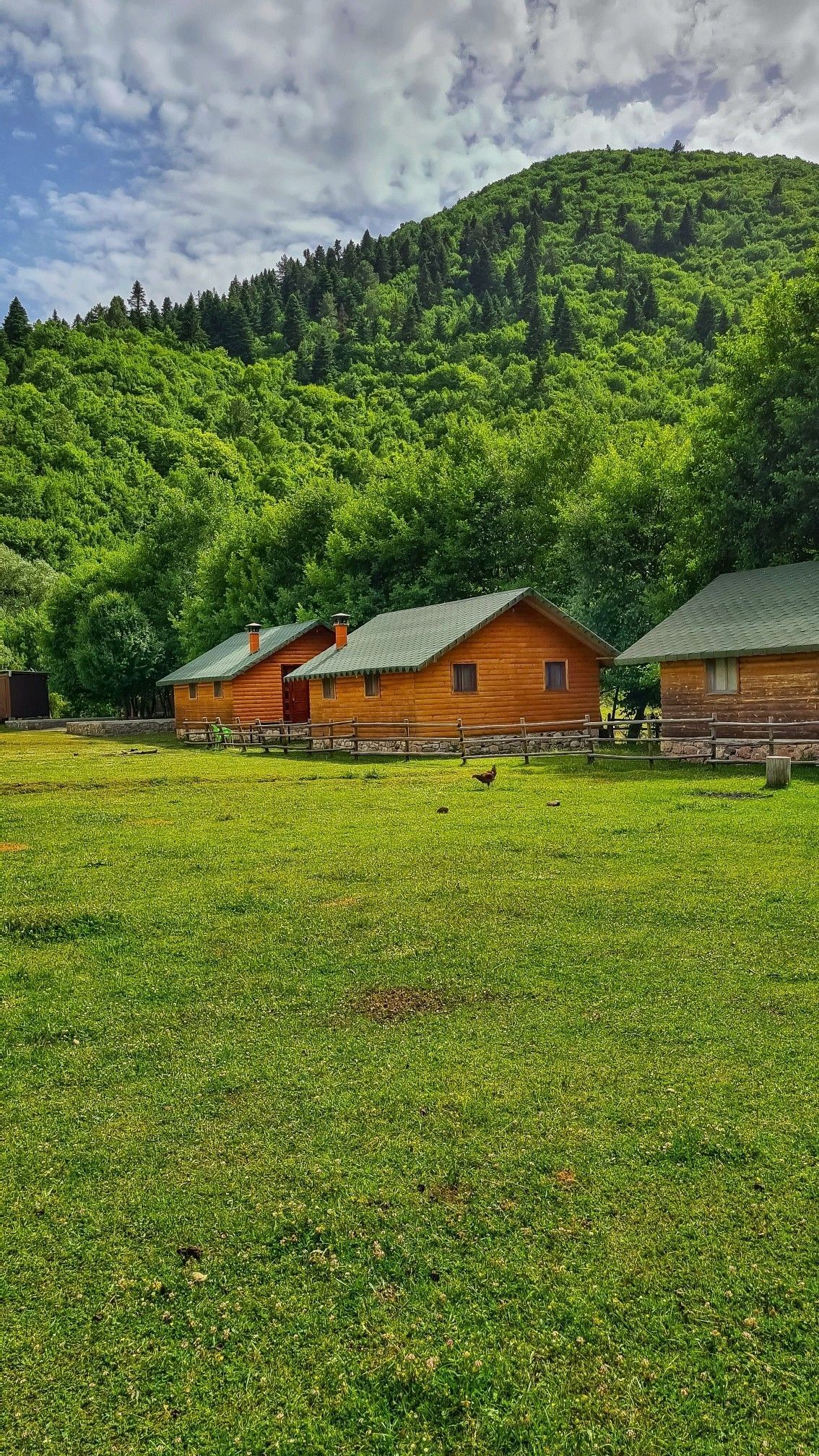 خرید زمین سوادکوه با شرایط اقساطی