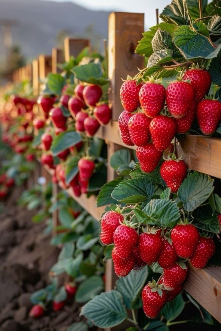 خرید باغ ملارد با شرایط اقساطی