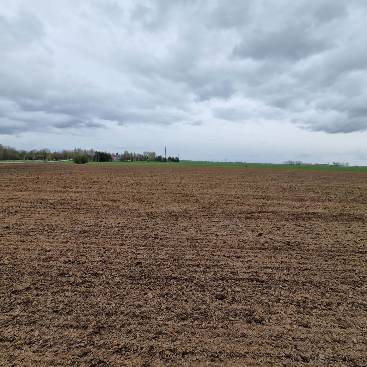 خرید زمین در نیاوران در شرایط قسطی