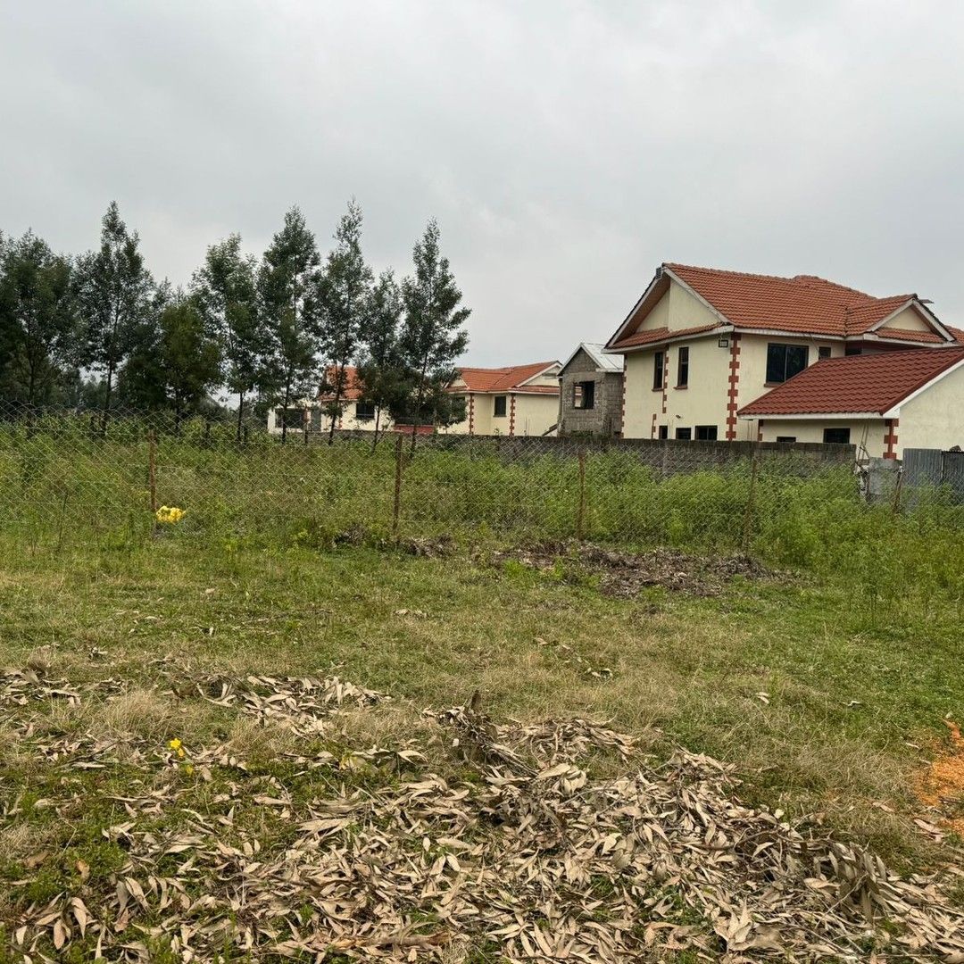 سرمایهگذاری در زمینهای ییلاقی تهران، کرج و شمال؛ فرصتها و چالشها