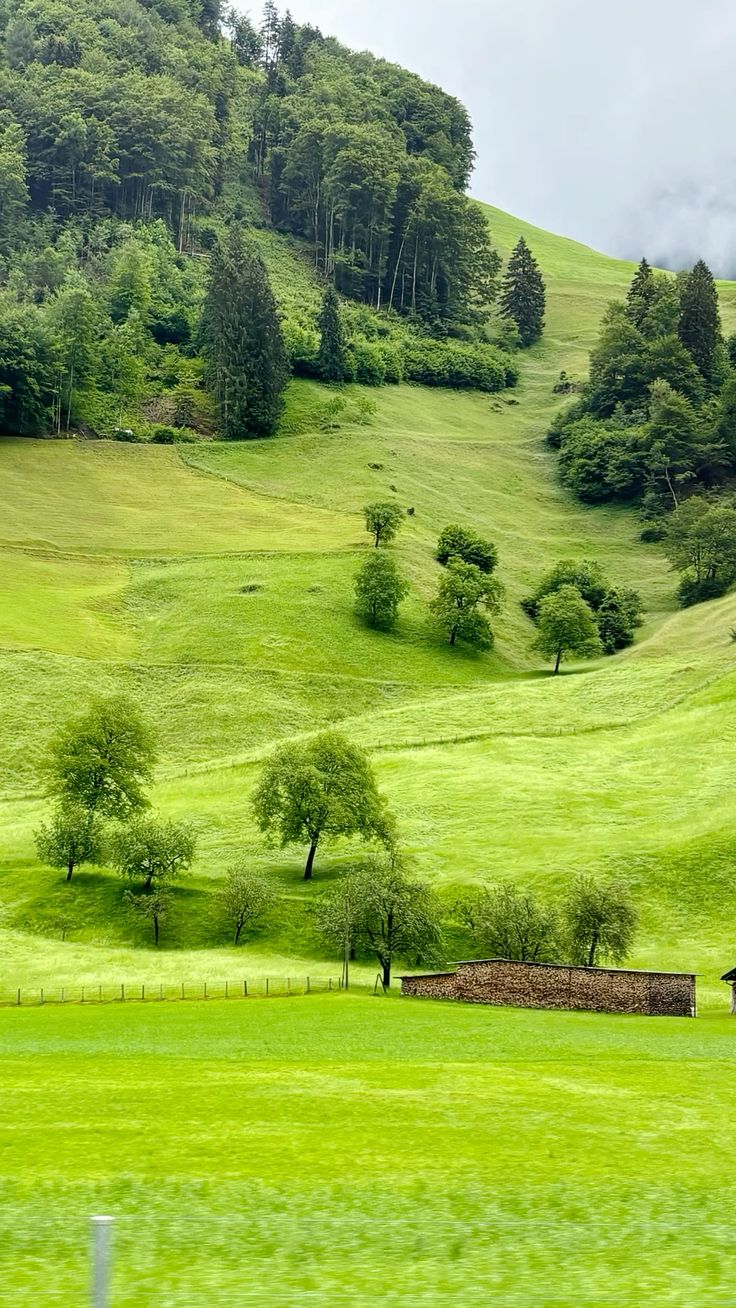 خرید زمین سوادکوه با شرایط اقساطی
