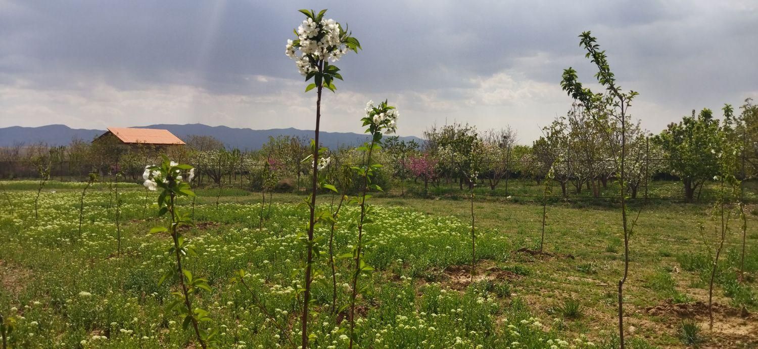 قیمت زمین در ورامین چقدر است؟ بررسی جدول قیمت‌ها و موقعیت‌ها