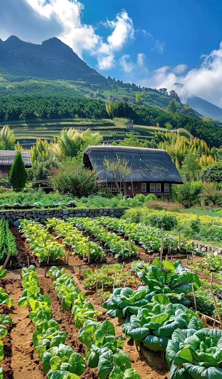 راهنمای کامل خرید زمین کشاورزی در چالوس