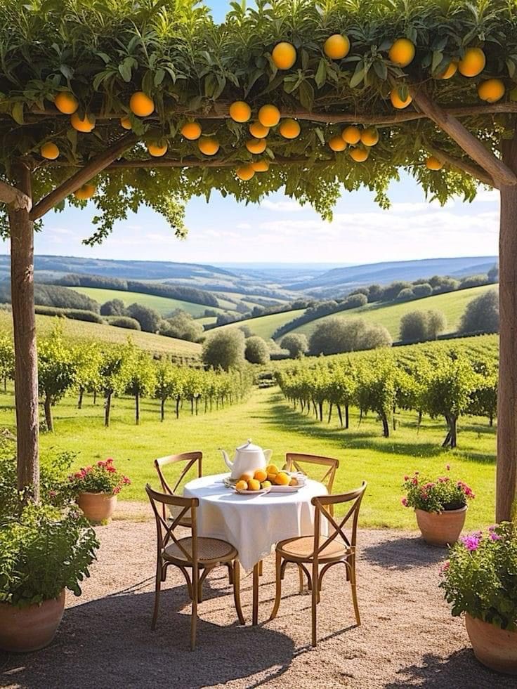 خرید باغ ملارد با شرایط اقساطی