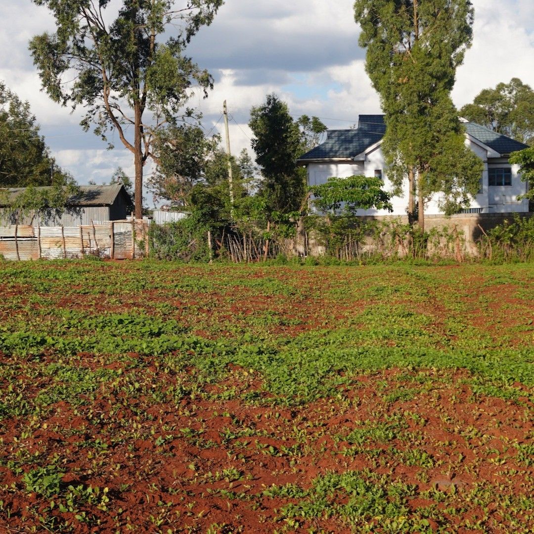 خرید زمین در نیاوران در شرایط قسطی