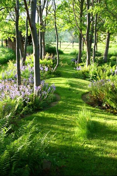 خرید باغ طالقان با شرایط اقساطی