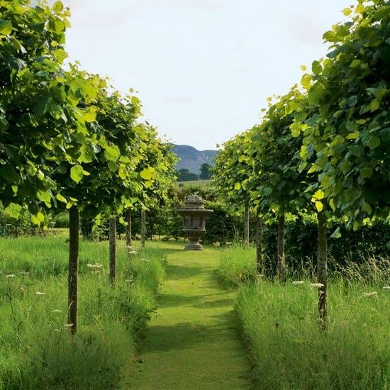 خرید باغ طالقان با شرایط اقساطی