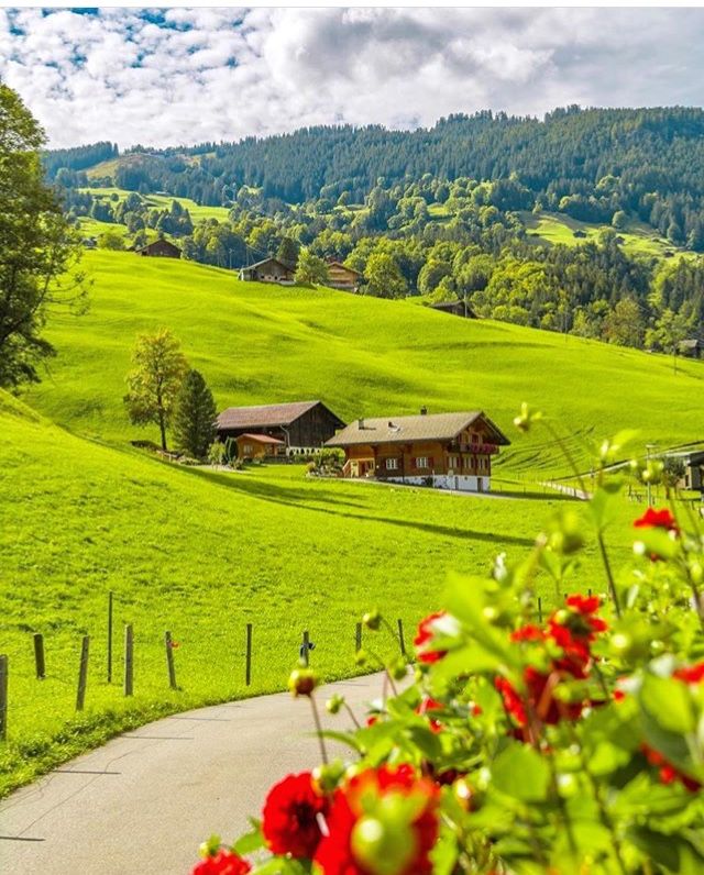 خرید زمین سوادکوه با شرایط اقساطی