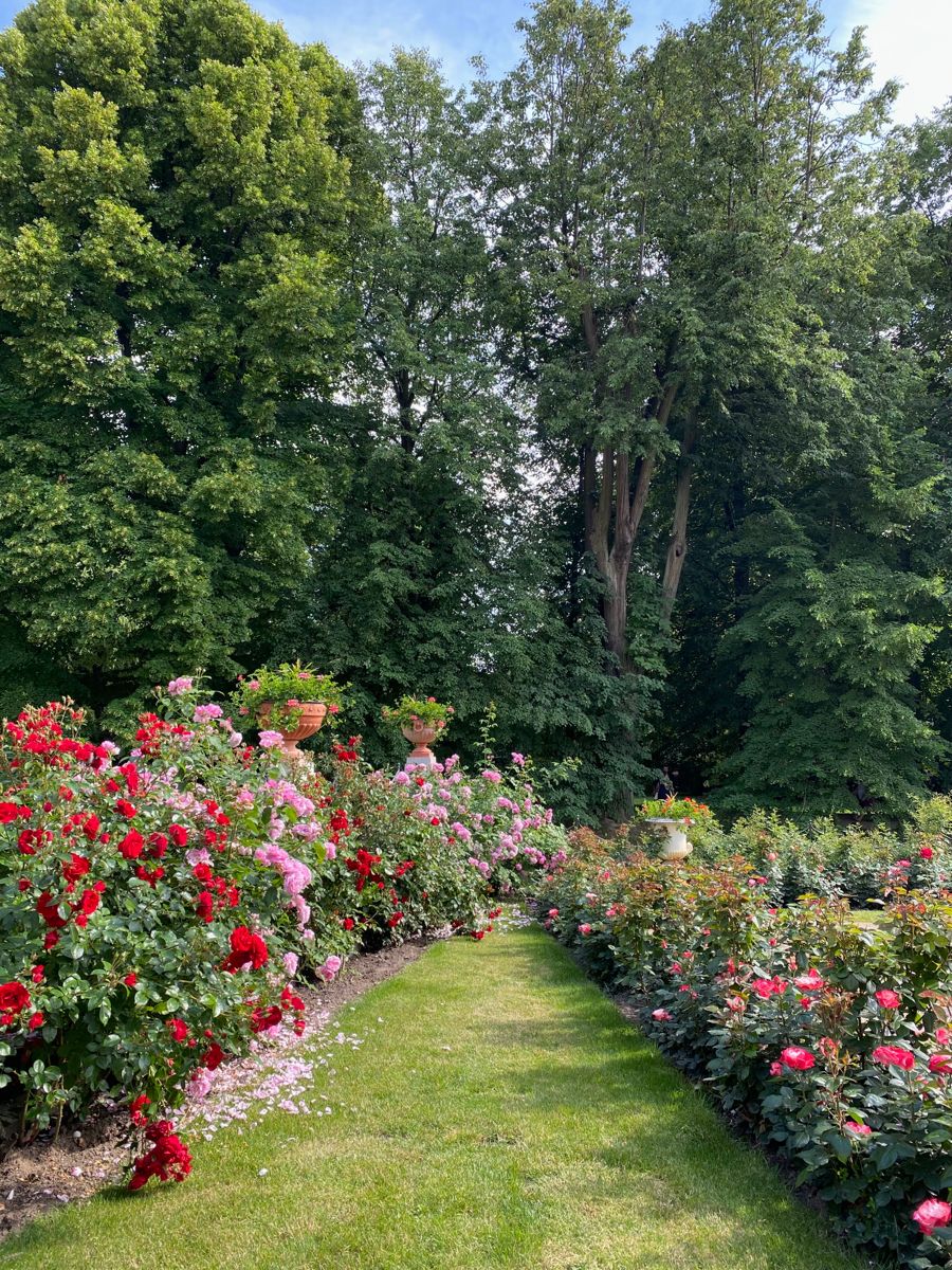 خرید باغ در غرب تهران: بررسی قیمت‌ها، مزایا و نکات کلیدی