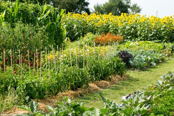 خرید باغ طالقان با شرایط اقساطی