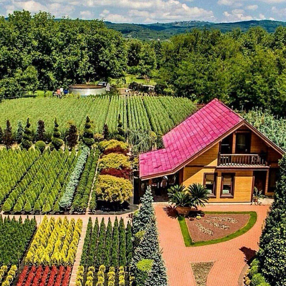 🌿 راهنمای کامل خرید زمین کشاورزی در طالقان