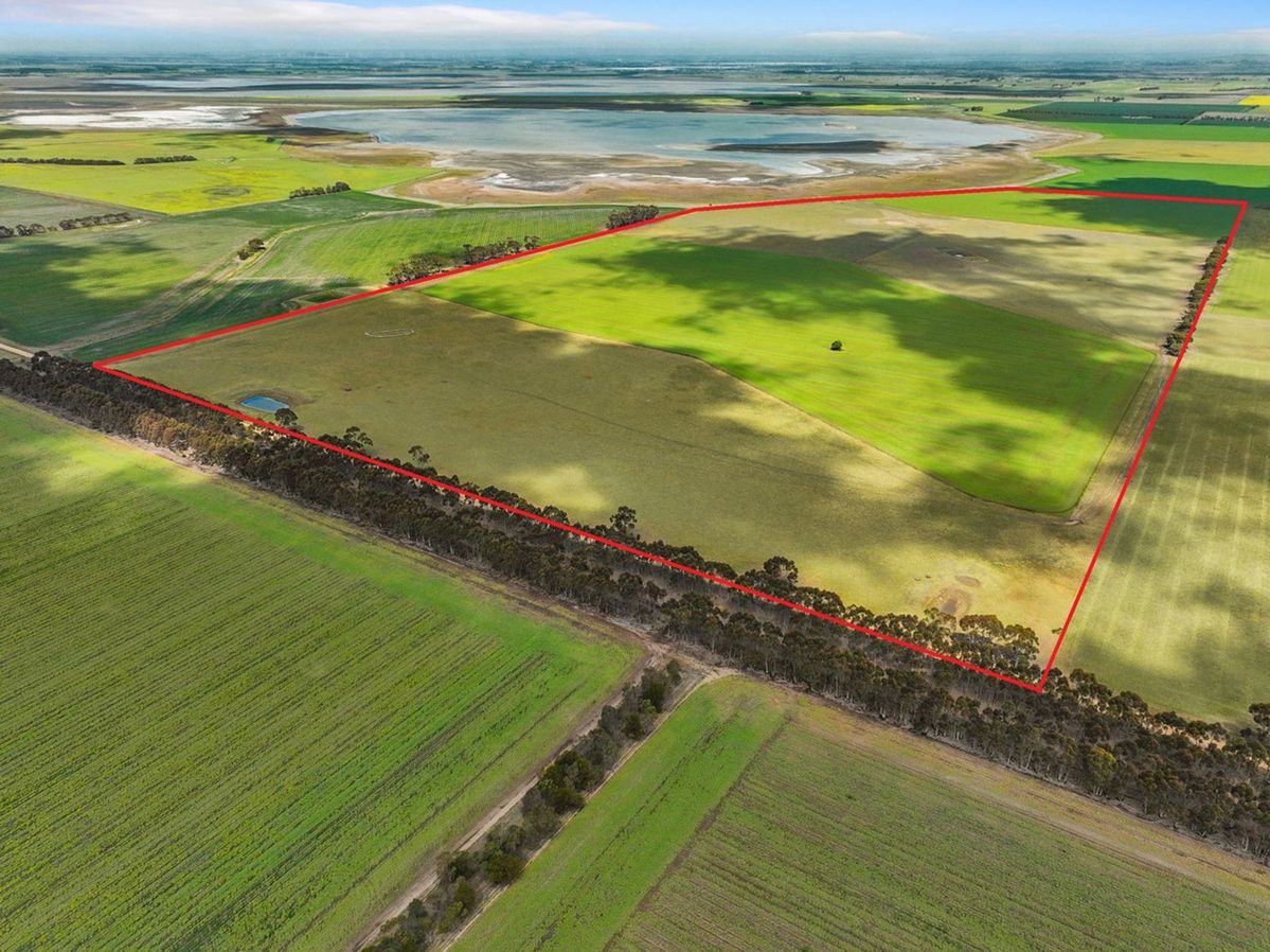 خرید زمین در شمال با موقعیت و قیمت عالی