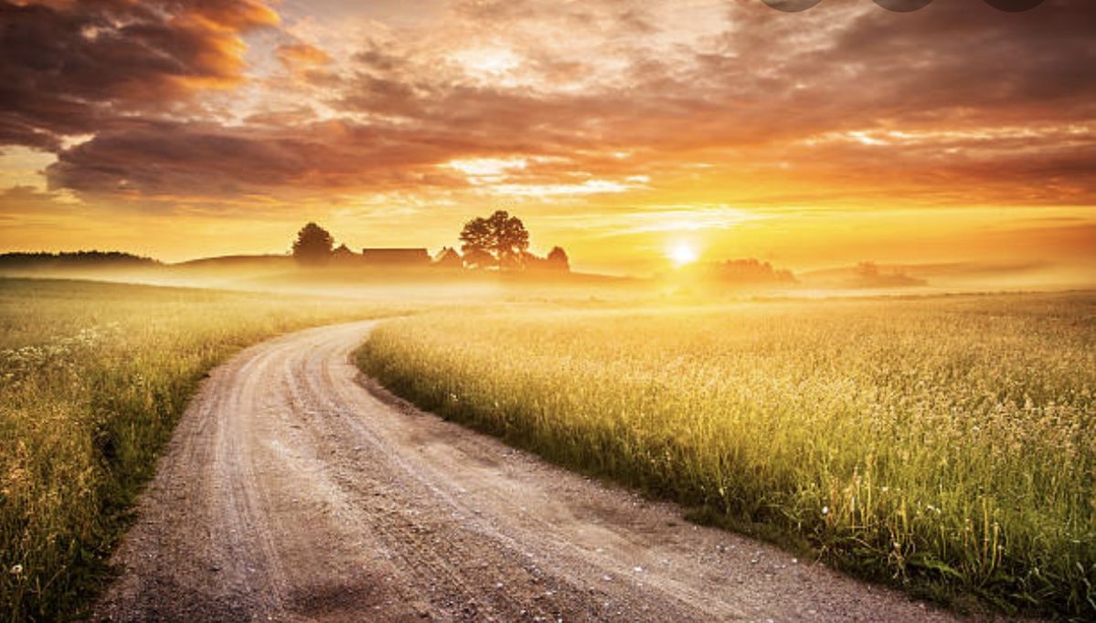 نکات مهم و کلیدی در خرید زمین زراعی در ایران