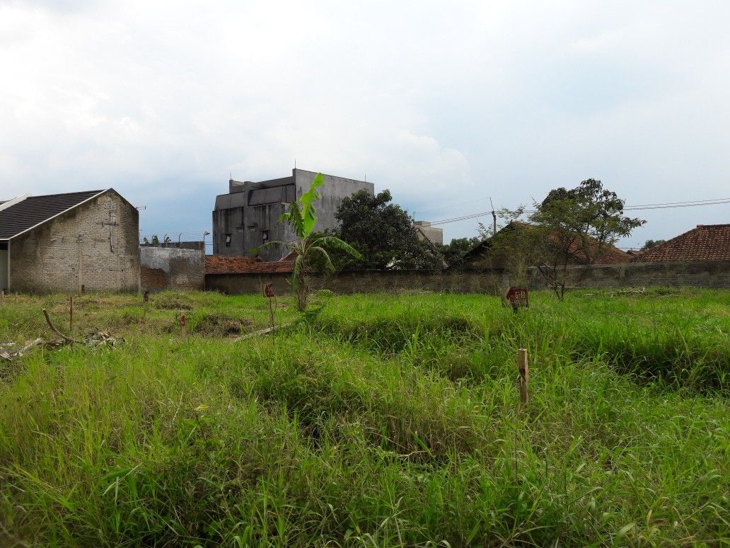 خرید زمین در ولنجک؛ همه چیز درباره قیمت، مزایا، معایب و پیشنهادات ۱۴۰۴