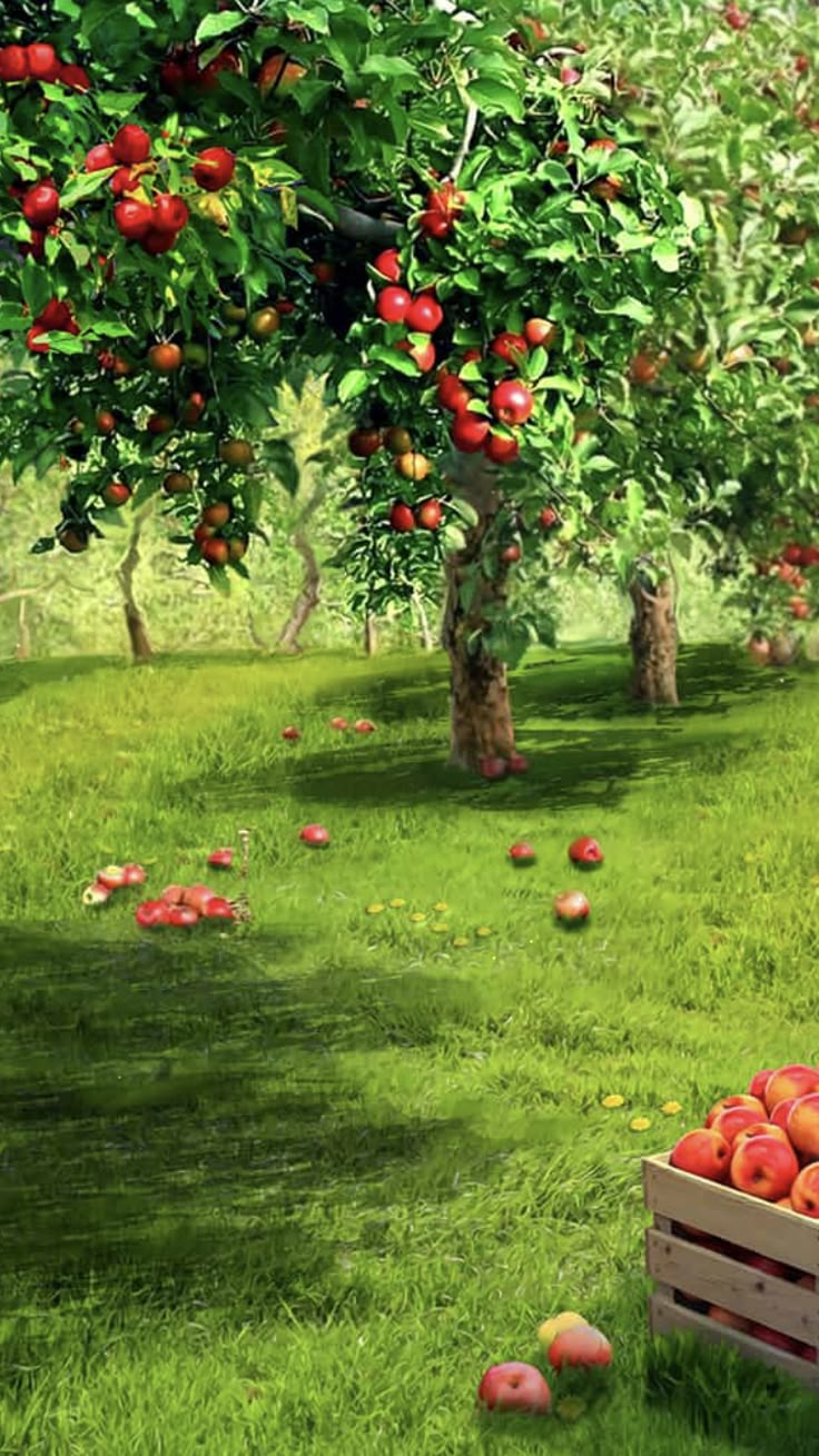 خرید باغ لواسان با چک بدون بهره