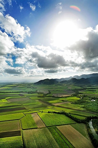 تفکیک باغ برای فروش زمین کشاورزی و داخل بافت با اقساط