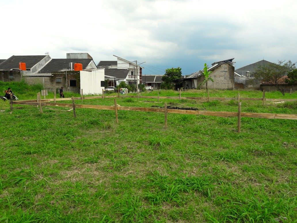 خرید زمین در ولنجک؛ همه چیز درباره قیمت، مزایا، معایب و پیشنهادات ۱۴۰۴