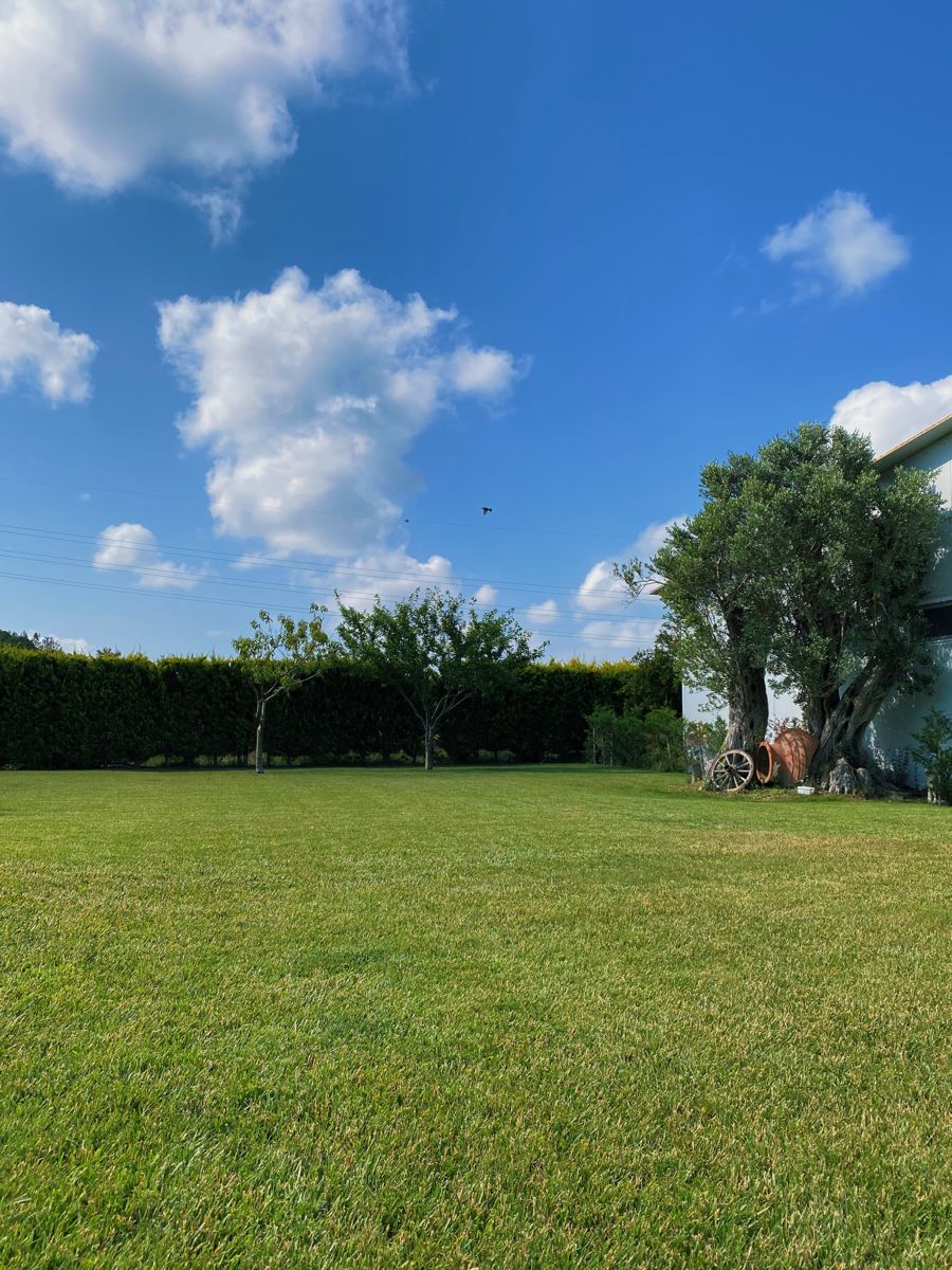 راهنمای کامل خرید زمین حومه تهران با شرایط اقساطی