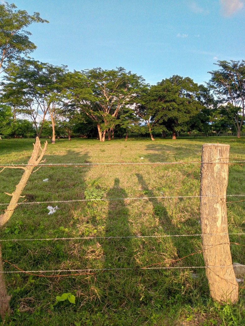 خرید زمین ویلایی و کشاورزی با شرایط پرداخت اقساطی با چک