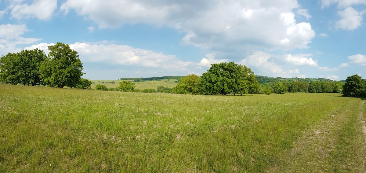 خرید زمین دماوند با شرایط قسطی