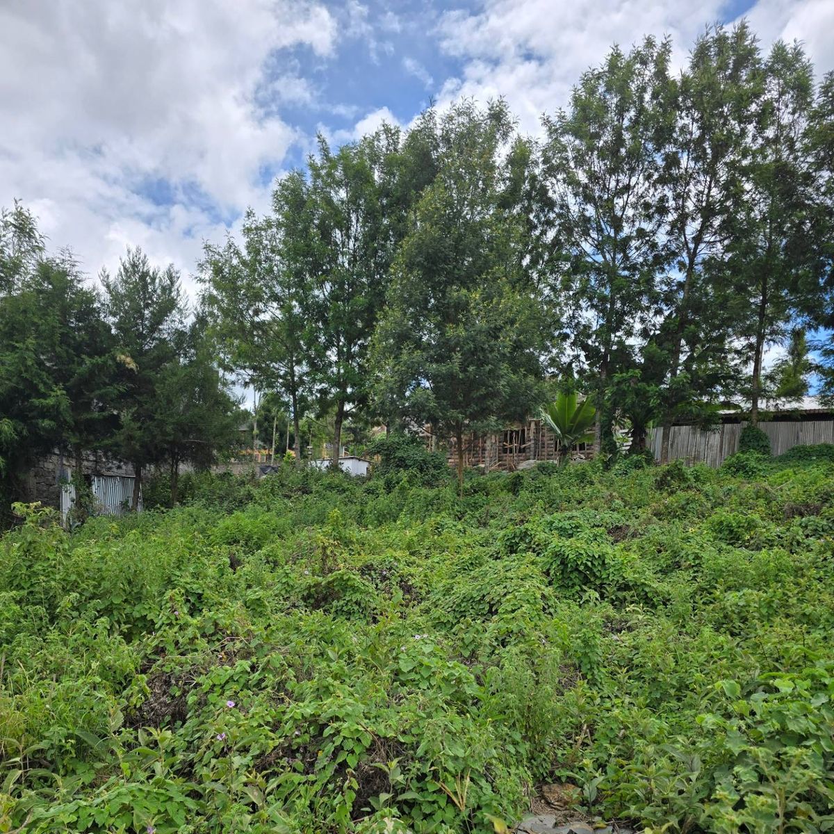 خرید زمین در نیاوران در شرایط قسطی