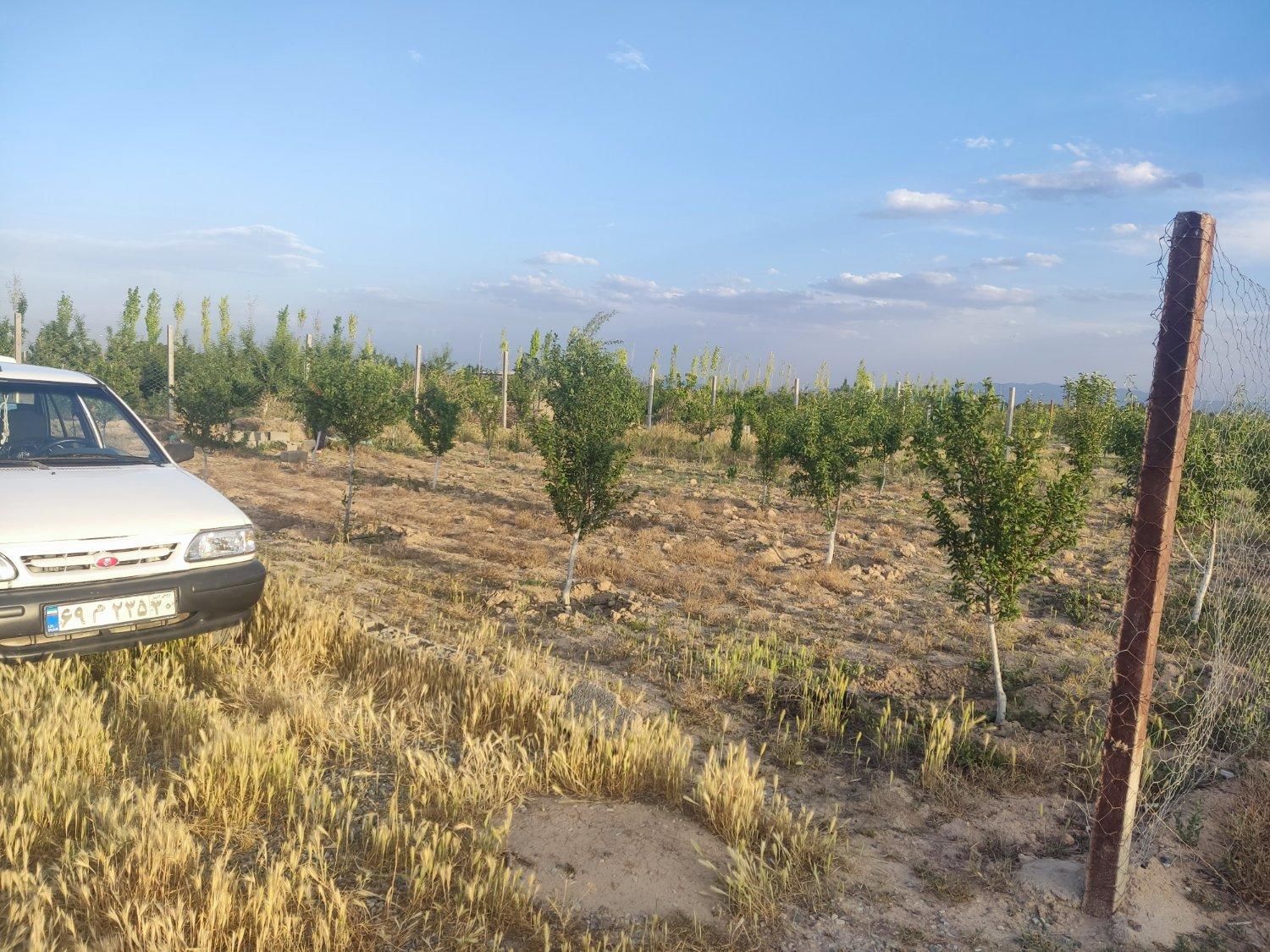 a0482917-6849-4e4a-a433-339fbcf77e34