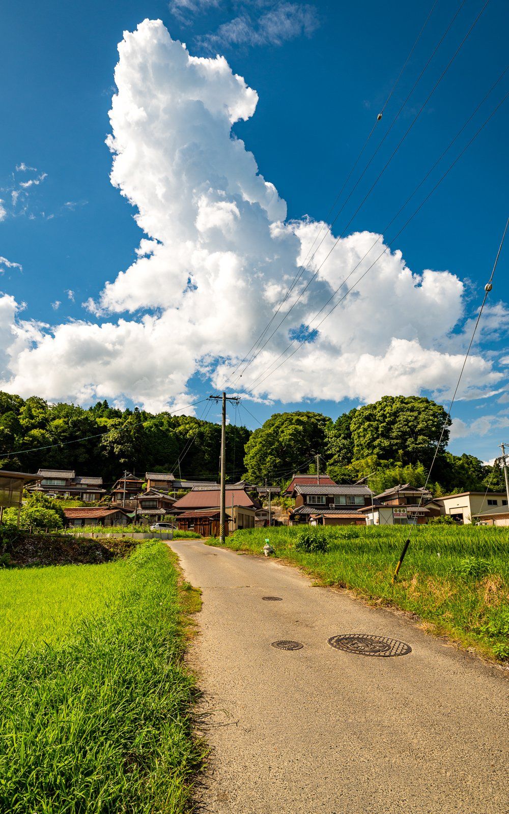خرید زمین سوادکوه با شرایط اقساطی