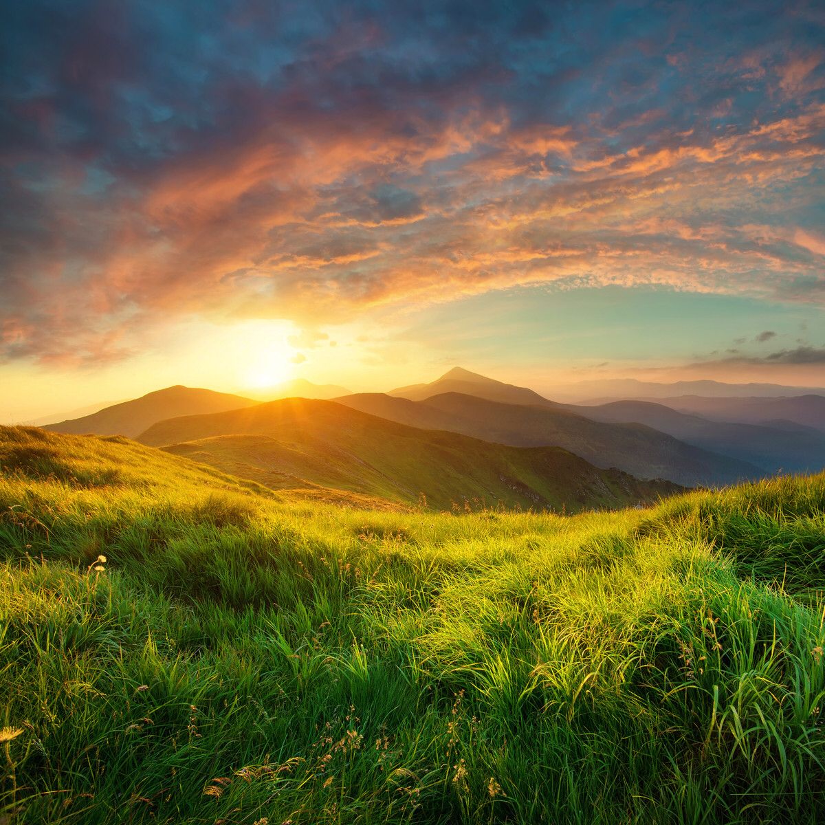 راهنمای جامع خرید زمین هکتاری برای سرمایه‌گذاری موفق