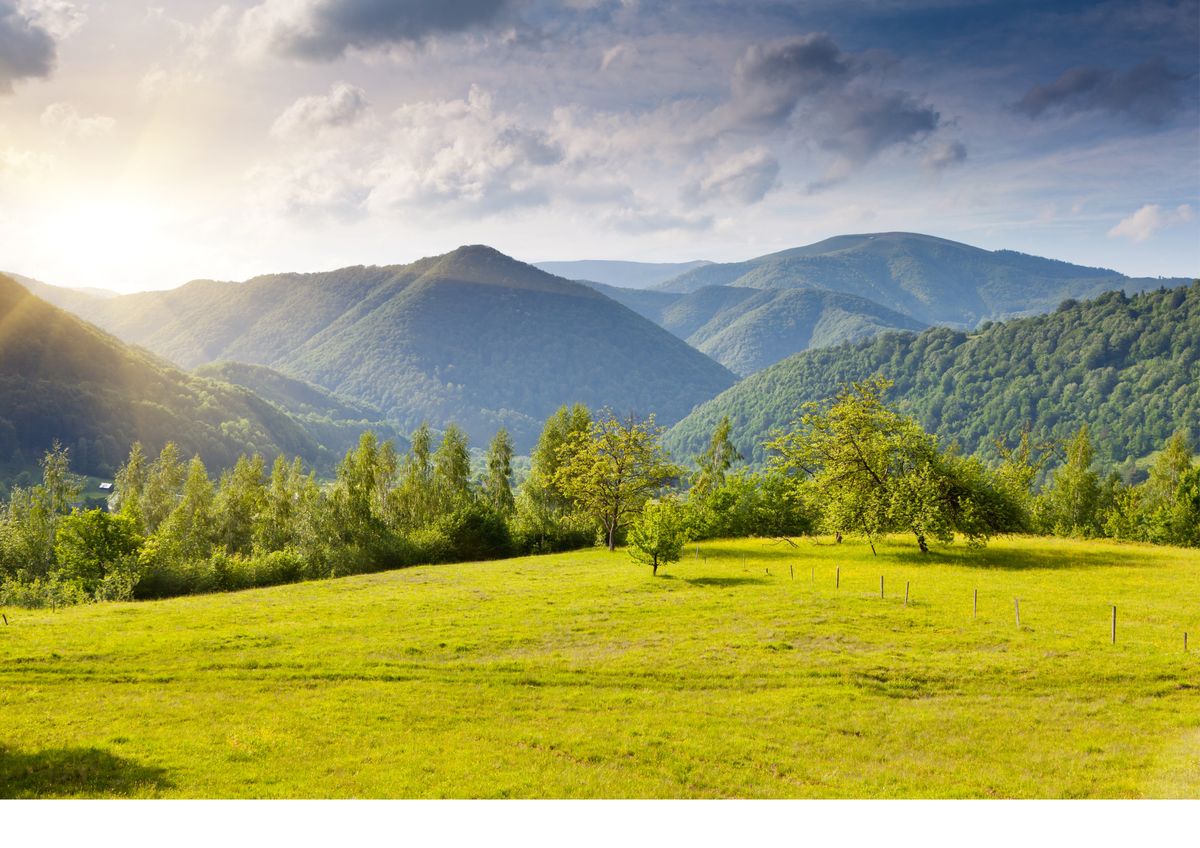 🏡 خرید زمین در کردان | راهنمای کامل سرمایهگذاری در طبیعت