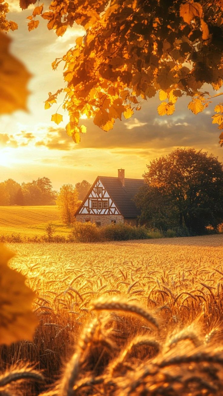 راهنمای کامل خرید زمین کشاورزی در چالوس