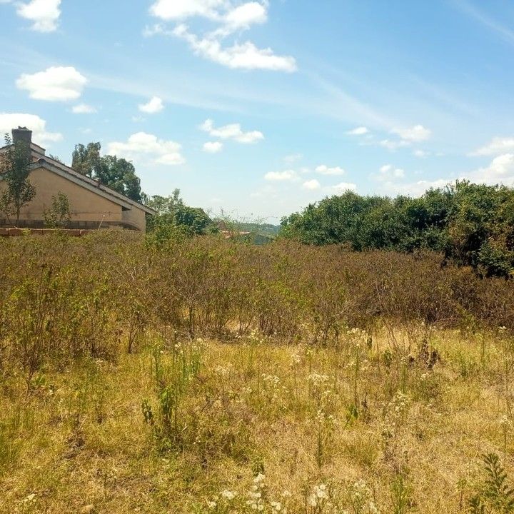 قیمت زمین در قاسم‌آباد بزرگ و کوچک چقدر است؟ جدول قیمت و شرایط ۱۴۰۴