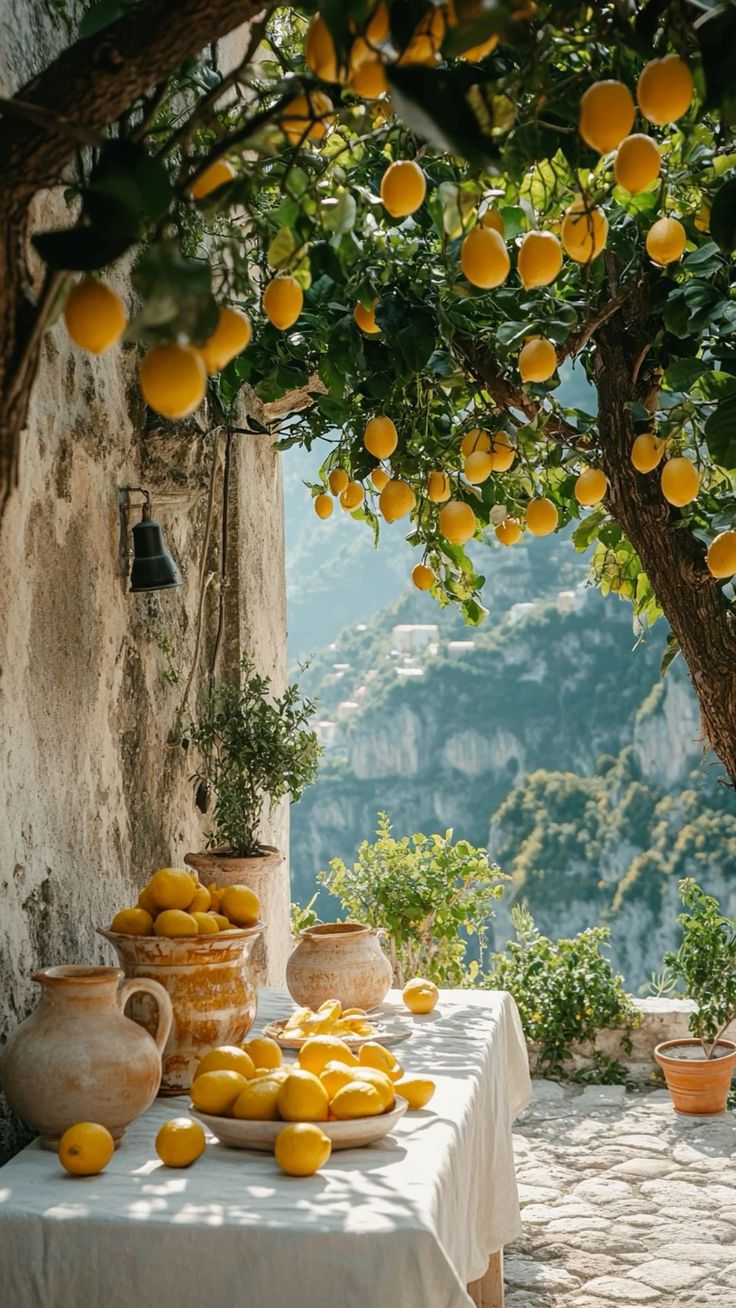 خرید باغ هکتاری با شرایط اقساطی