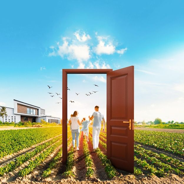 خرید زمین در پونک؛ راهنمای جامع برای سرمایه‌گذاری