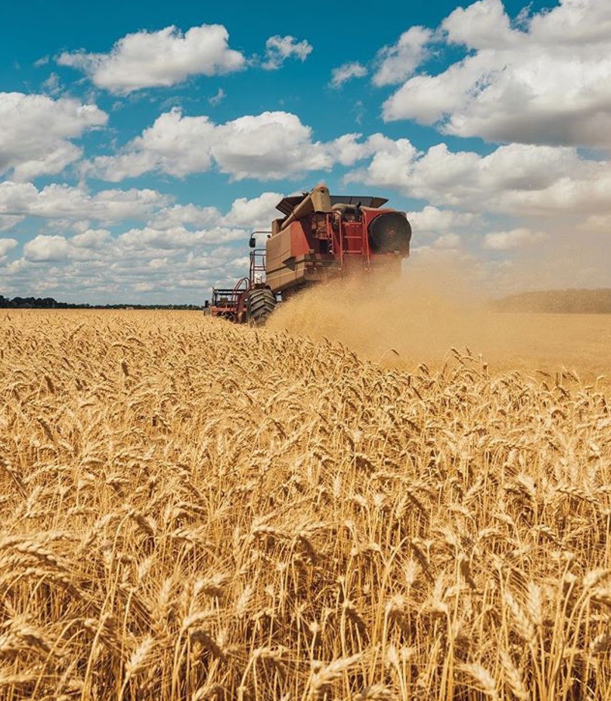 راهنمای خرید زمین کشاورزی در اطراف هشتگرد