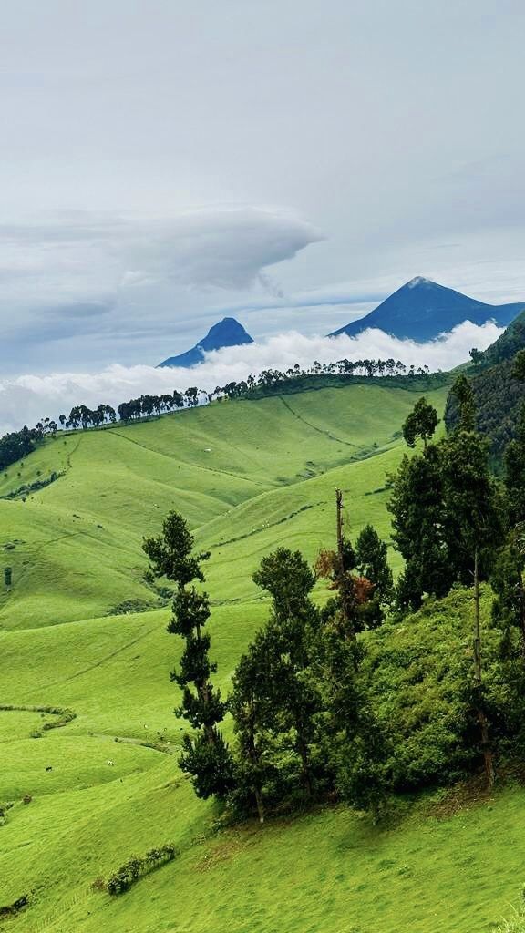 سرمایه‌گذاری در زمین‌های ییلاقی تهران، کرج و شمال؛ فرصت‌ها و چالش‌ها