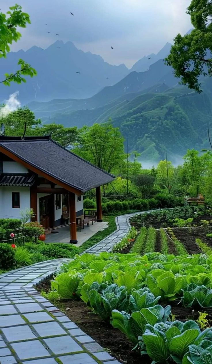 خرید زمین کشاورزی در رودسر؛ راهنمای کامل