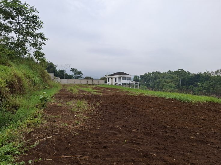 خرید زمین در پونک؛ راهنمای جامع برای سرمایهگذاری