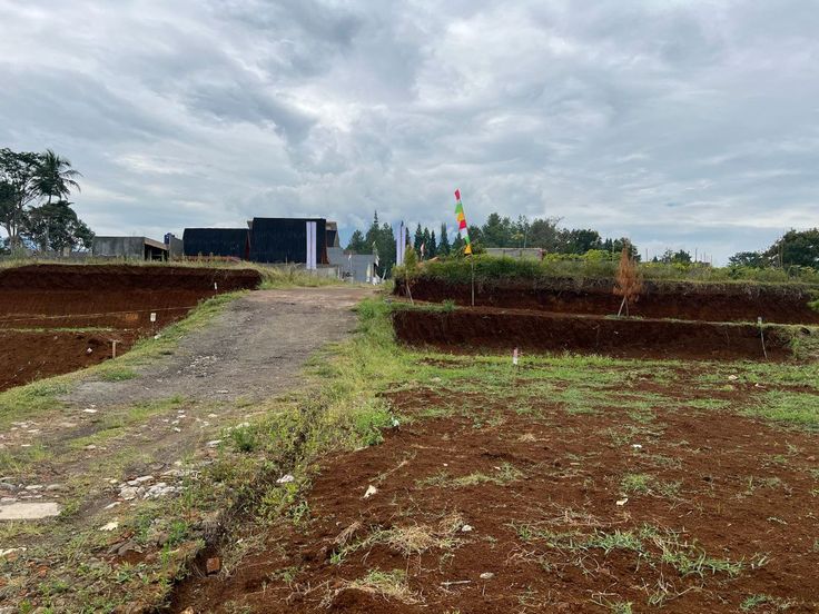 خرید زمین در پونک؛ راهنمای جامع برای سرمایهگذاری