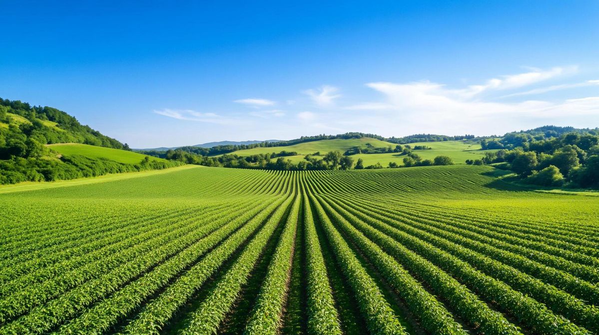 راهنمای خرید زمین کشاورزی در اطراف هشتگرد