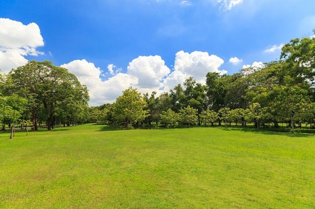 راهنمای کامل خرید زمین در تهران: نکات کلیدی و استراتژیهای موفق