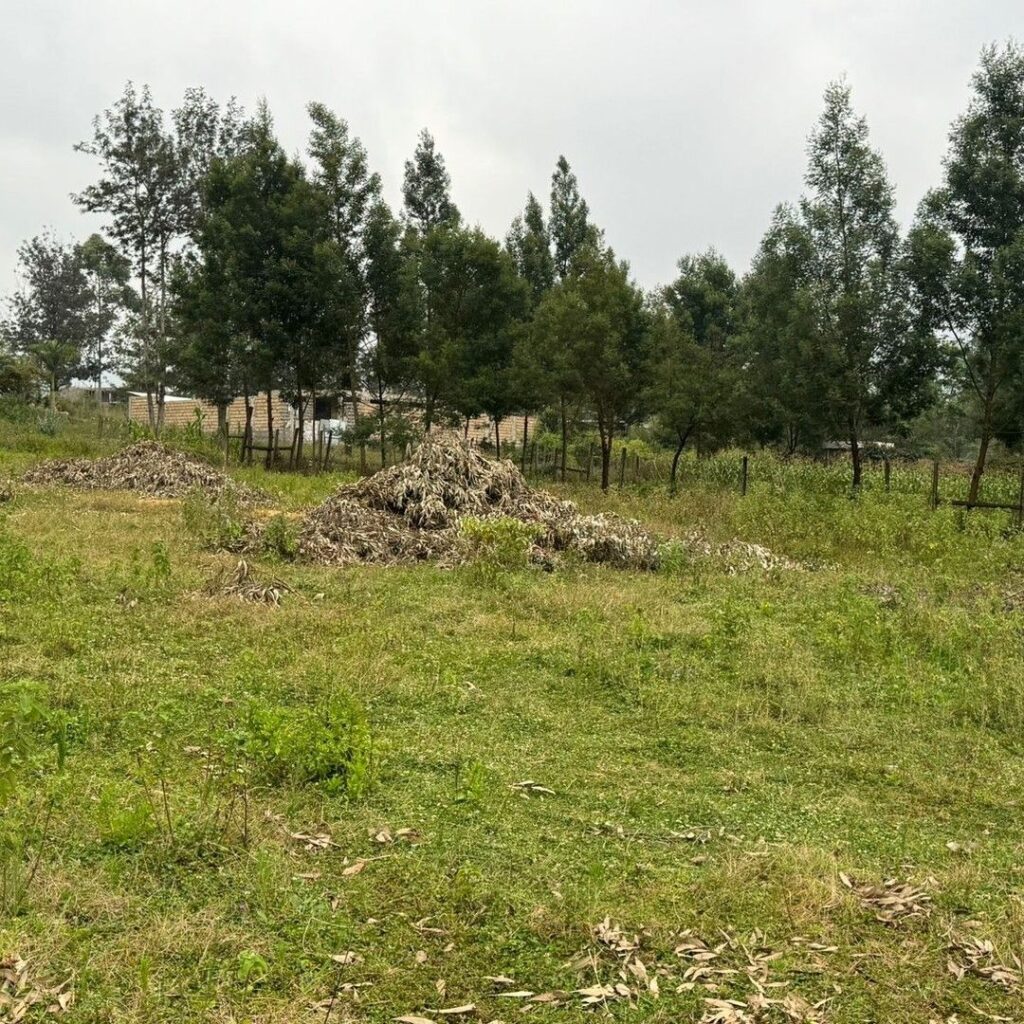 سرمایه‌گذاری مطمئن با خرید زمین در غرب تهران (بررسی مناطق + قیمت)