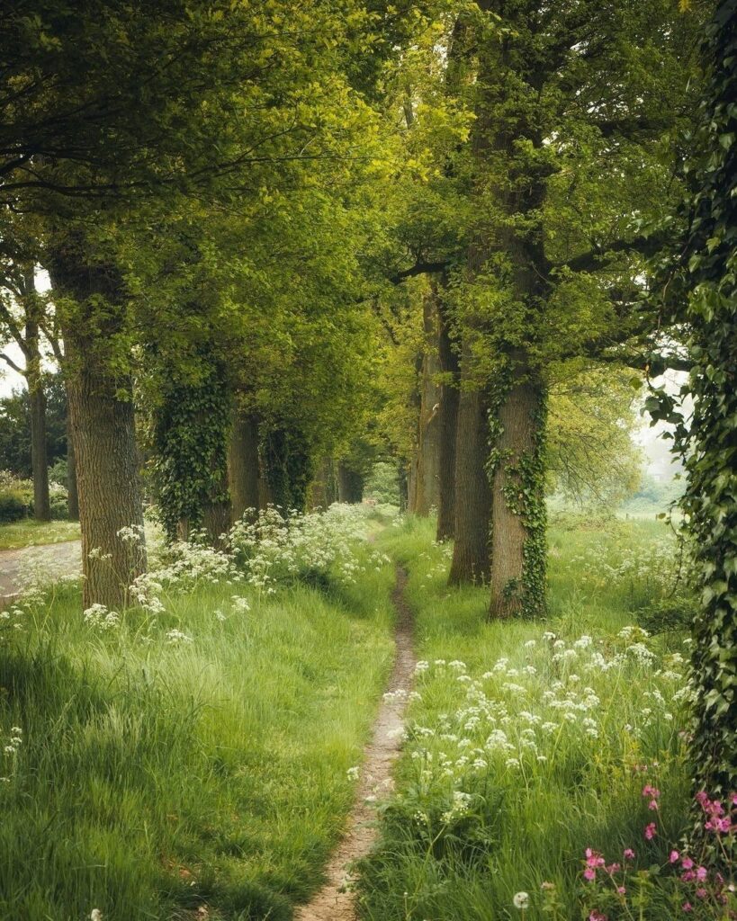 راهنمای خرید باغ در فیروزکوه: نکات ضروری