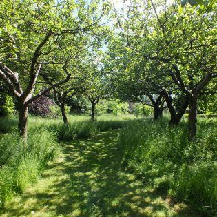 راهنمای خرید باغ در فیروزکوه: نکات ضروری